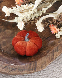 Mini Velvet Pumpkins