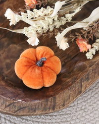 Mini Velvet Pumpkins