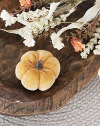 Mini Velvet Pumpkins