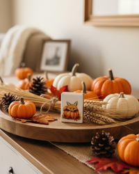 Pumpkin Creature Block