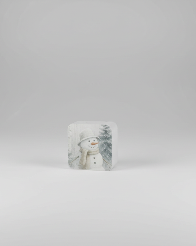 Snowman Forest Mini Block