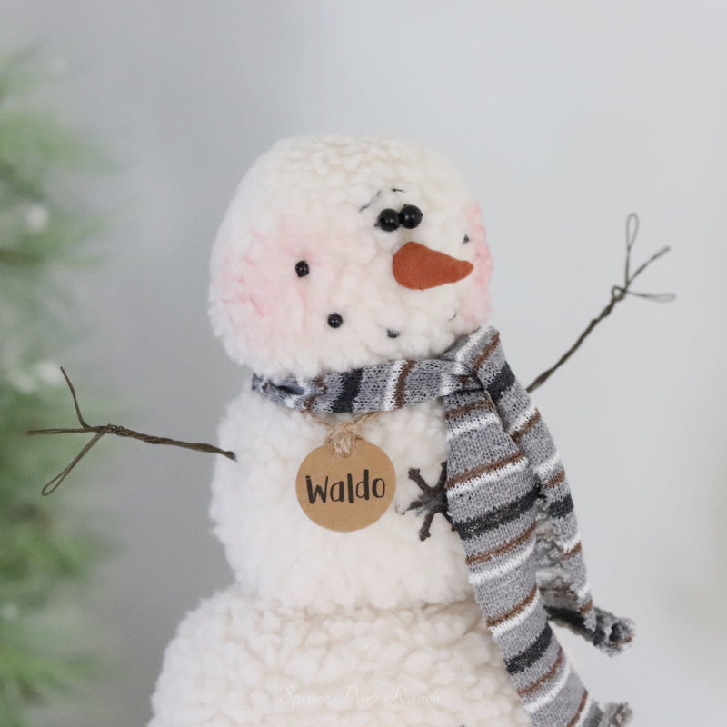 Waldo the Woolly Snowman