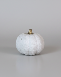White Concrete Pumpkin
