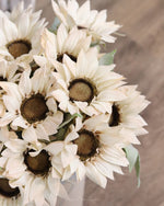 White Sunflower Stem