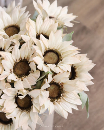 White Sunflower Stem