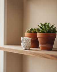 Mini Whitewashed Distressed Resin Owl