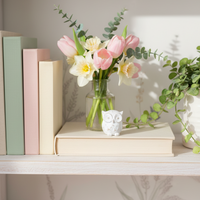 Mini Whitewashed Distressed Resin Owl