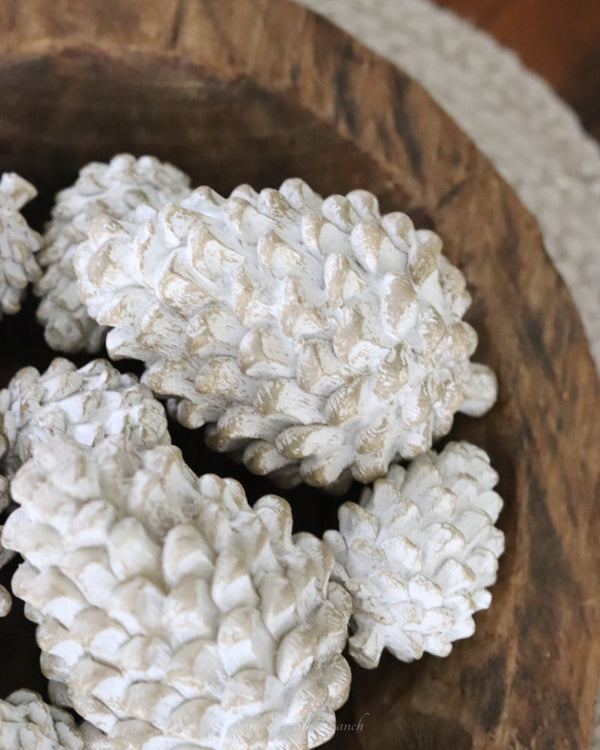 Whitewashed Pinecone