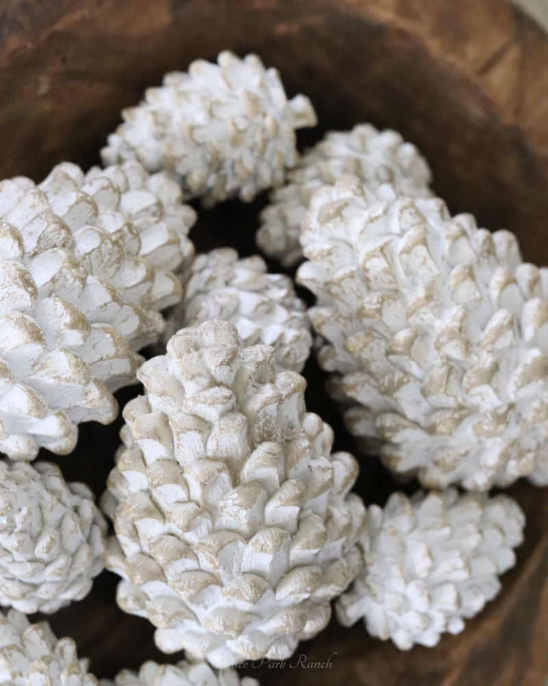 Whitewashed Pinecone
