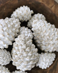 Whitewashed Pinecone