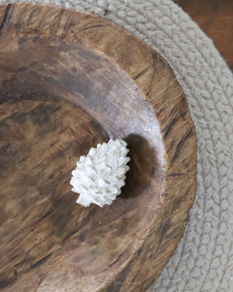 Whitewashed Pinecone