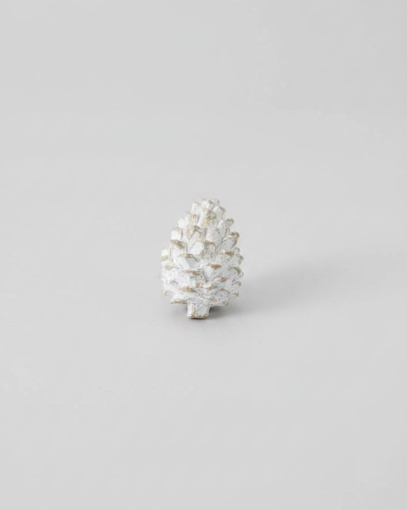 Whitewashed Pinecone