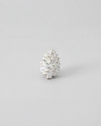 Whitewashed Pinecone