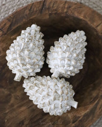 Whitewashed Pinecone