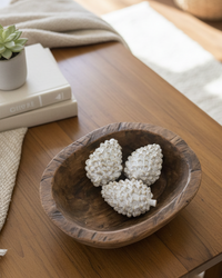 Whitewashed Pinecone
