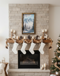 Winter's Divide Canvas Print