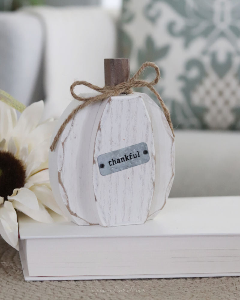 Chunky Harvest Pumpkin
