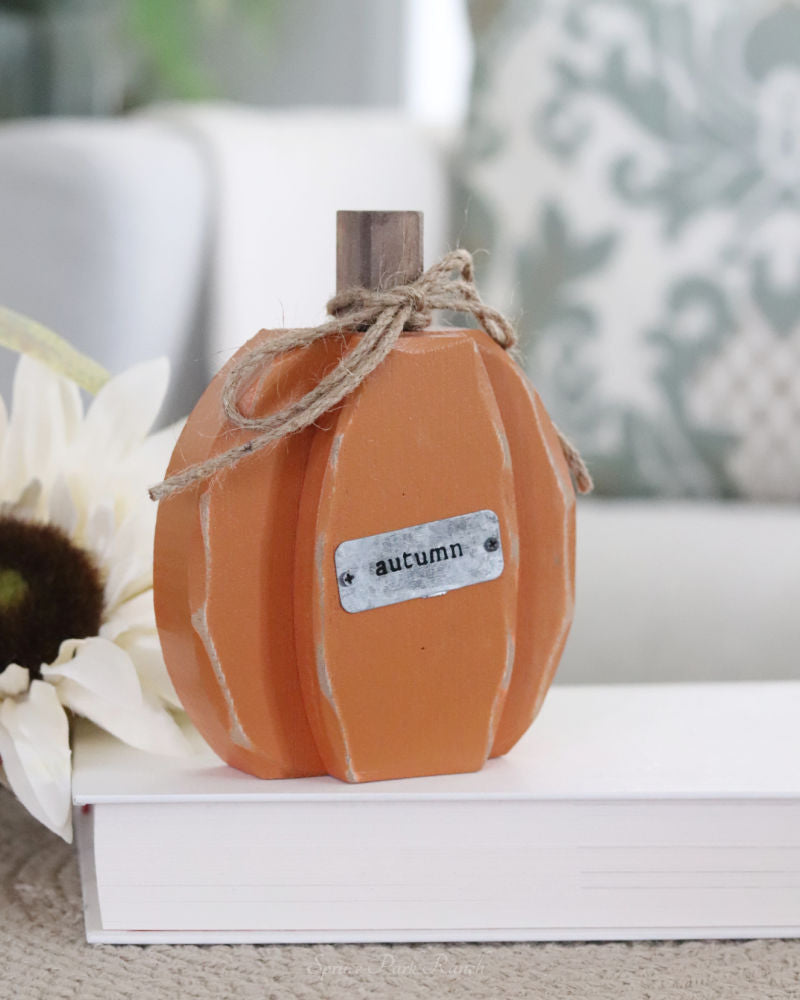 Chunky Harvest Pumpkin