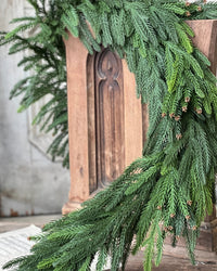 Norfolk Cascade Greenery Collection Soft Touch