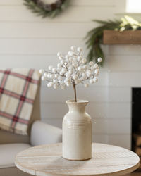 Icy Snowdrop Berry Collection
