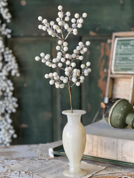 Icy Snowdrop Berry Collection