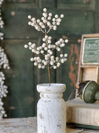 Icy Snowdrop Berry Collection