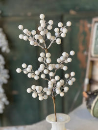 Icy Snowdrop Berry Collection