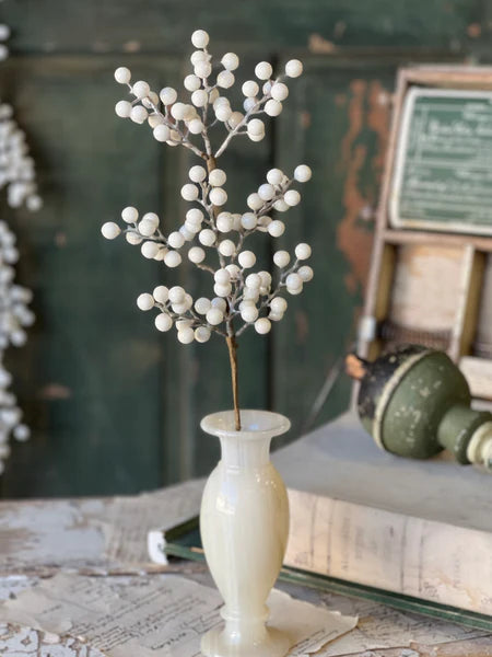 Icy Snowdrop Berry Collection