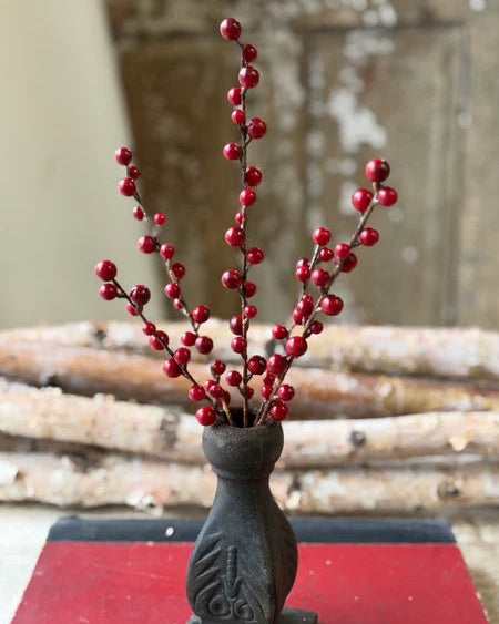 Red Reverie Berry Bush 13.5"