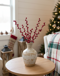 Red Reverie Berry Bush 13.5"