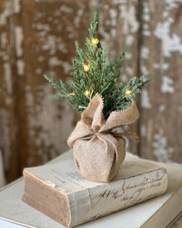 Starlit Cedar LED Tree