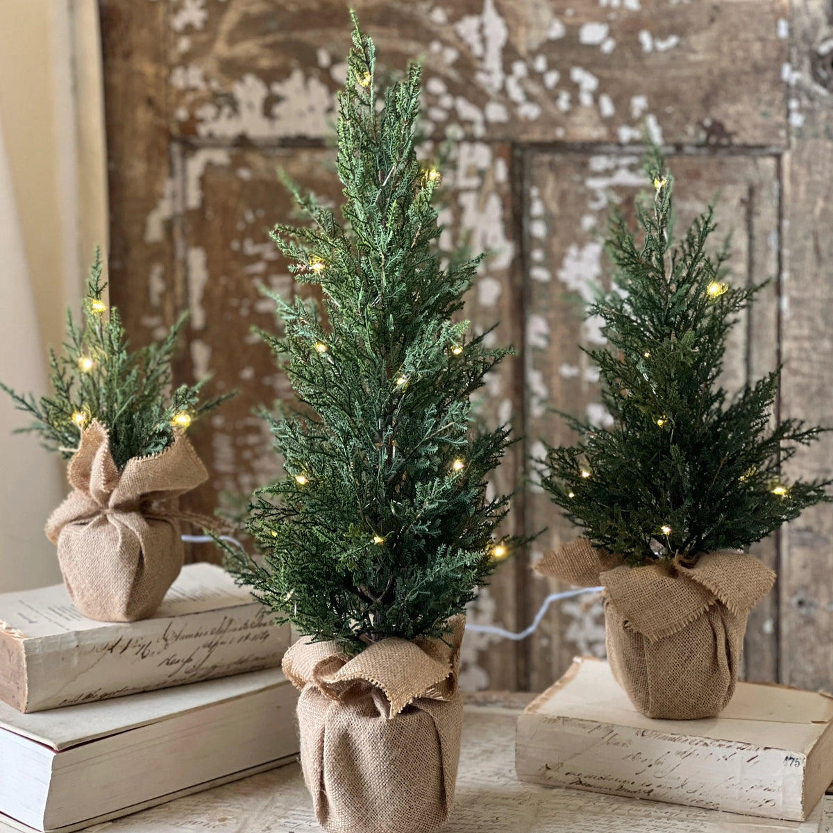 Starlit Cedar LED Tree