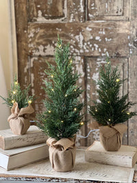 Starlit Cedar LED Tree