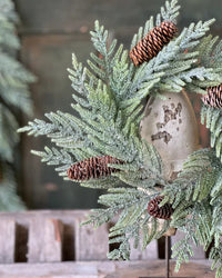Glittering Plume Pine Collection