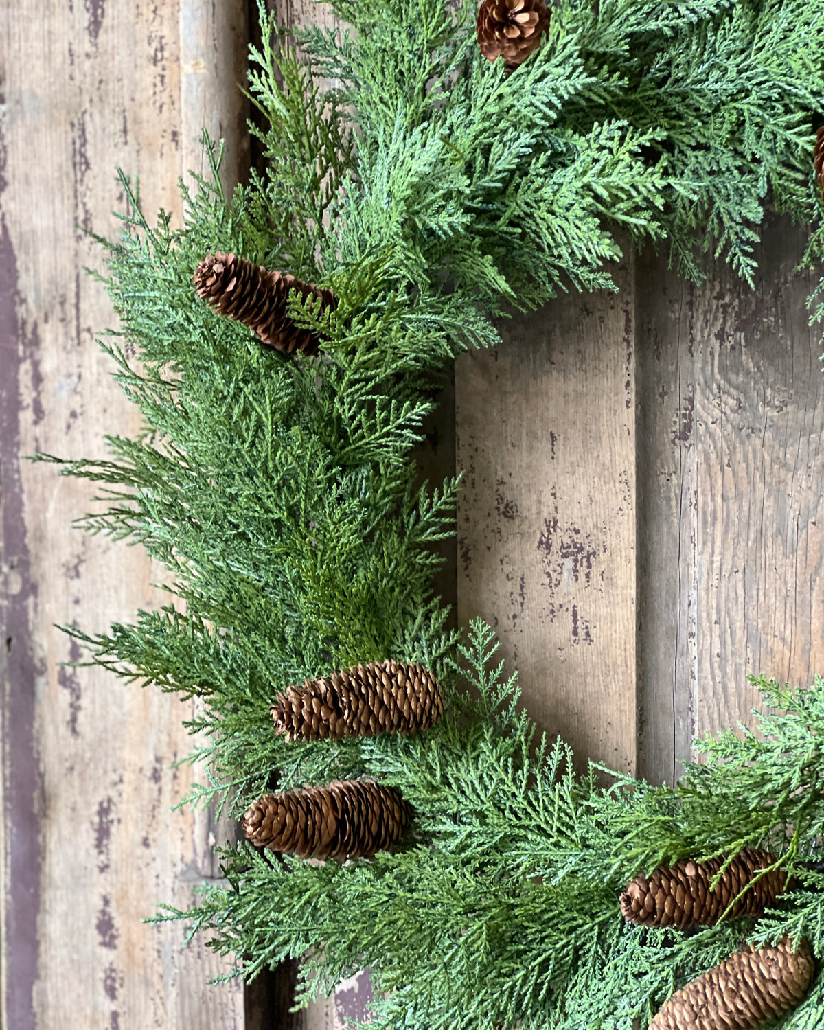 Celtic Cedar Collection Real Touch