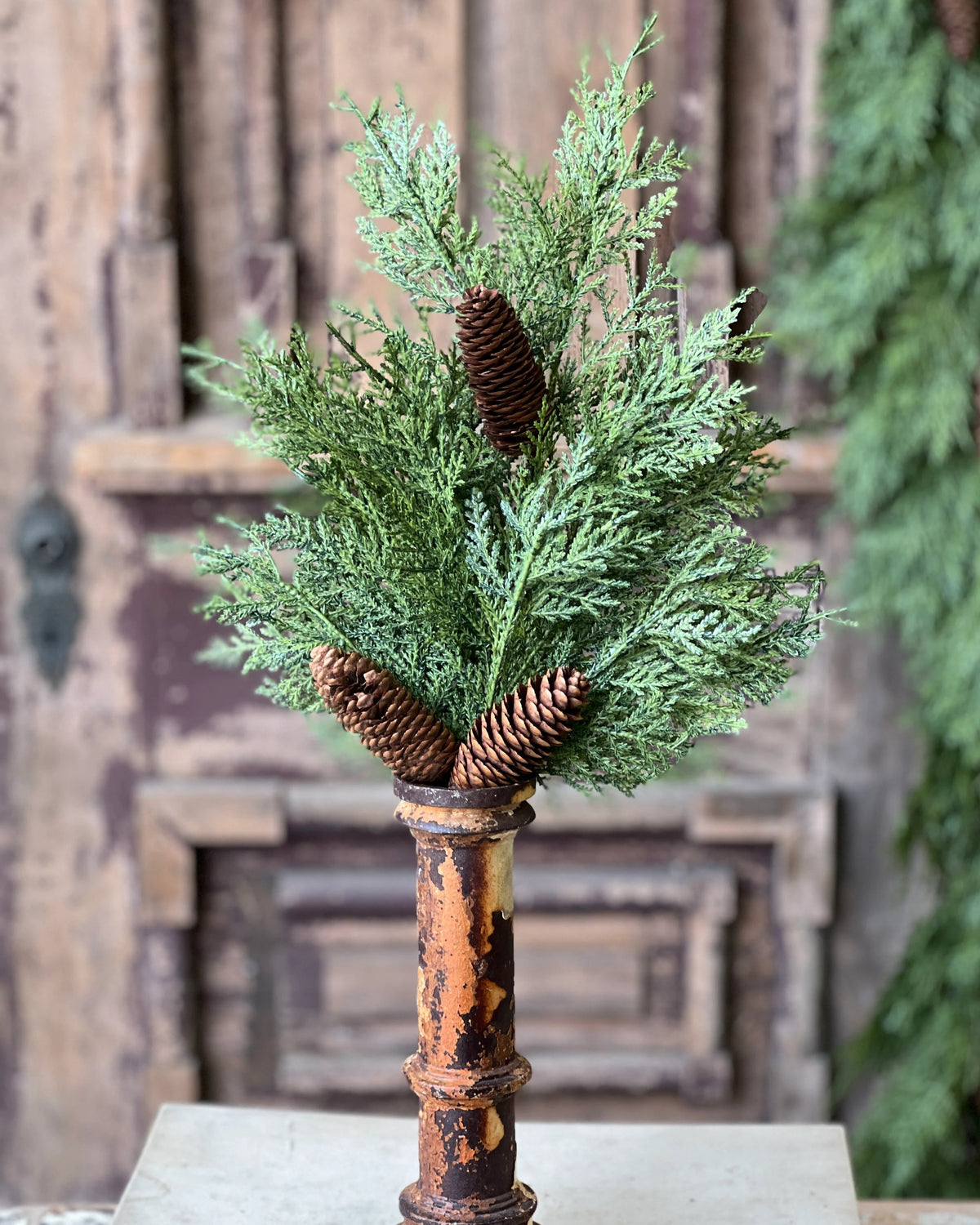 Celtic Cedar Collection Real Touch