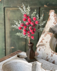 Icy Yule Berry Fir Collection