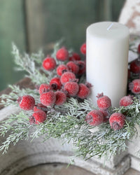 Icy Yule Berry Fir Collection