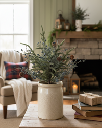 Bluehaven Cedar Collection