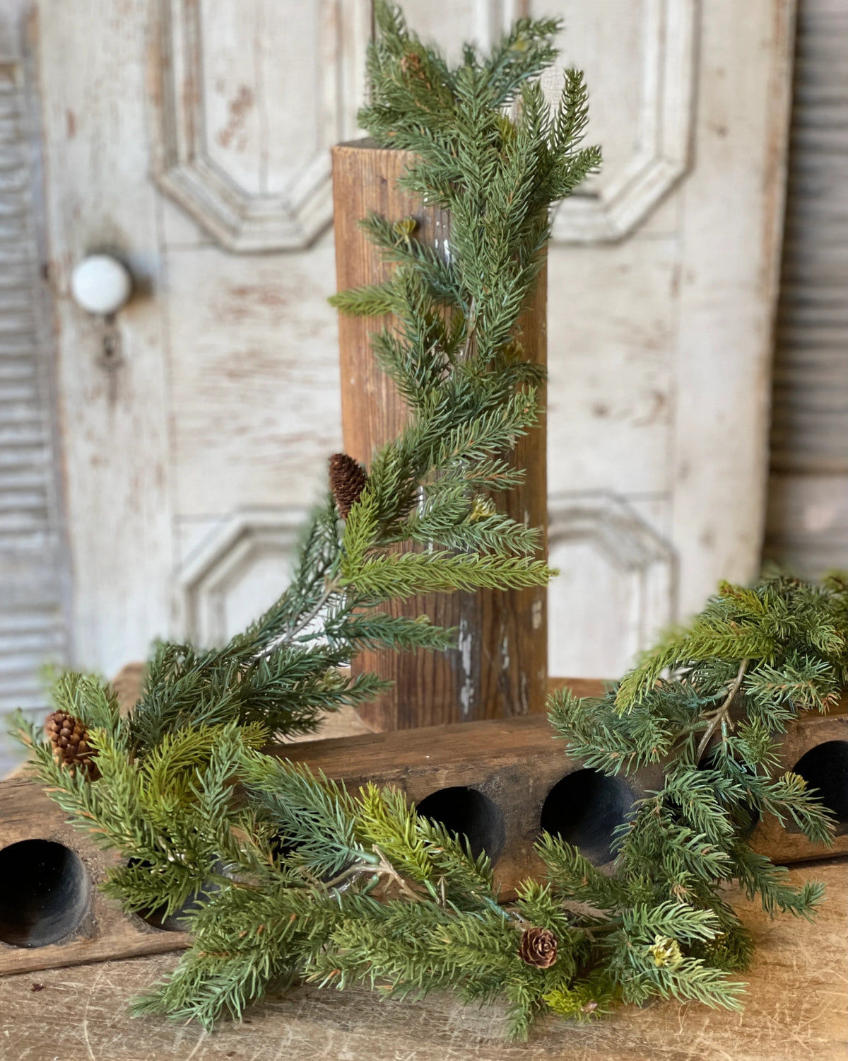 White Spruce With Pine Cones Collection