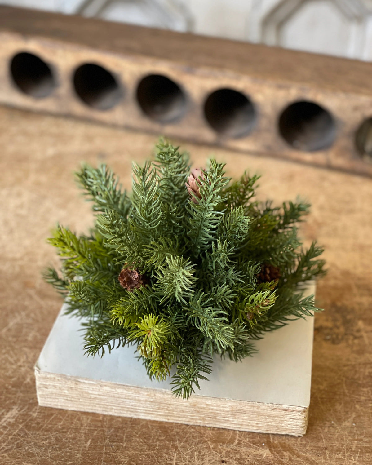 White Spruce With Pine Cones Collection