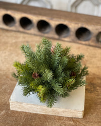 White Spruce With Pine Cones Collection