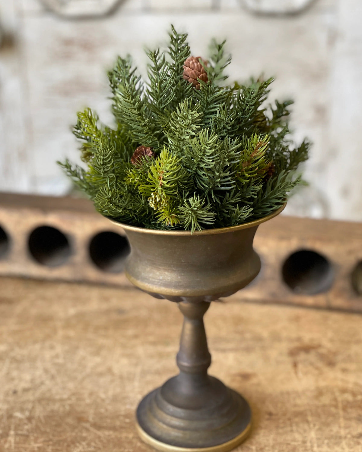 White Spruce With Pine Cones Collection