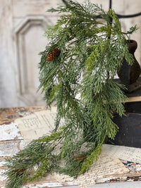 Advent Greens Collection