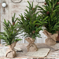 Pencil Pine Tree Soft Touch