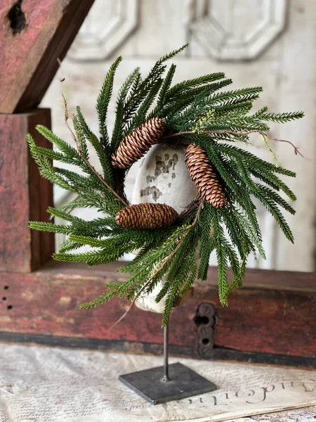 Pencil Pine Collection