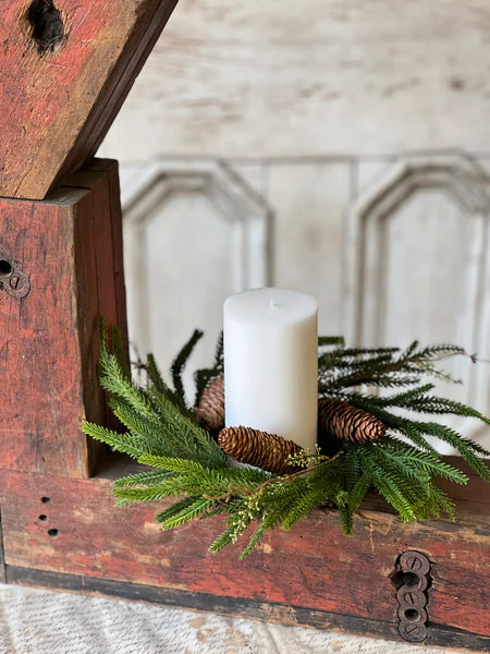 Pencil Pine Collection