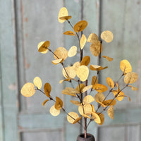 Penny Leaf Eucalyptus Pick Mustard 18"