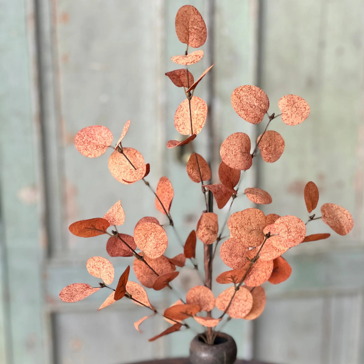 Penny Leaf Eucalyptus Pick Red 18”