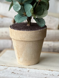 Garden Eucalyptus Potted Bush 19"